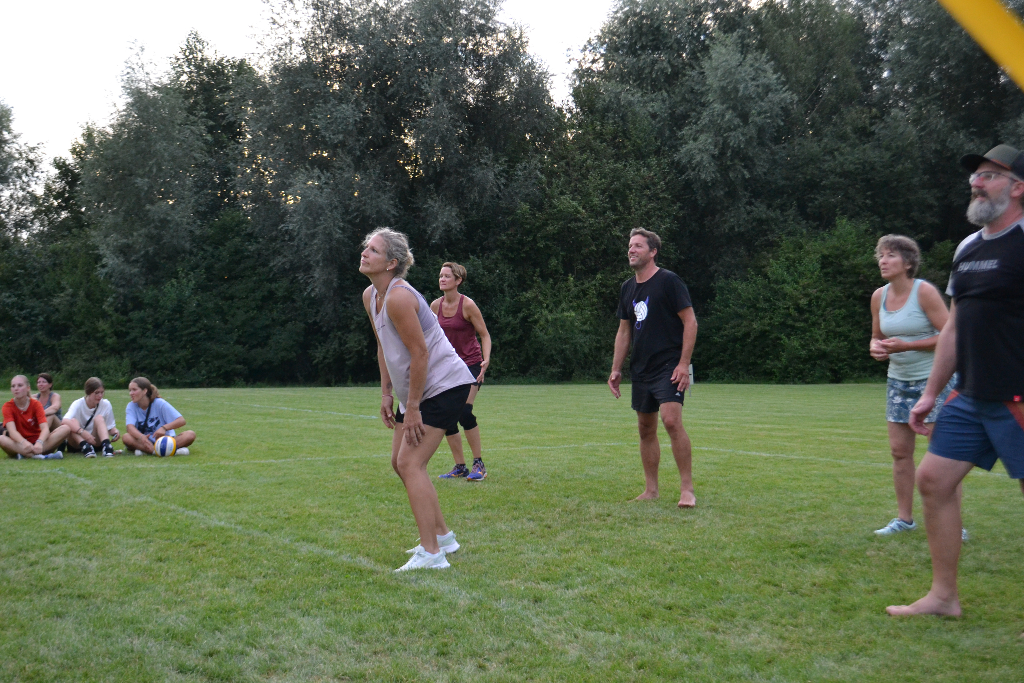 Bild (195)